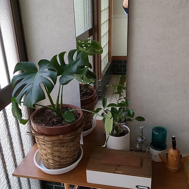 tanokyon.0228さんの実例写真
