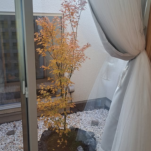 tammyさんの部屋
