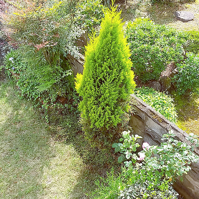 Nonさんの実例写真