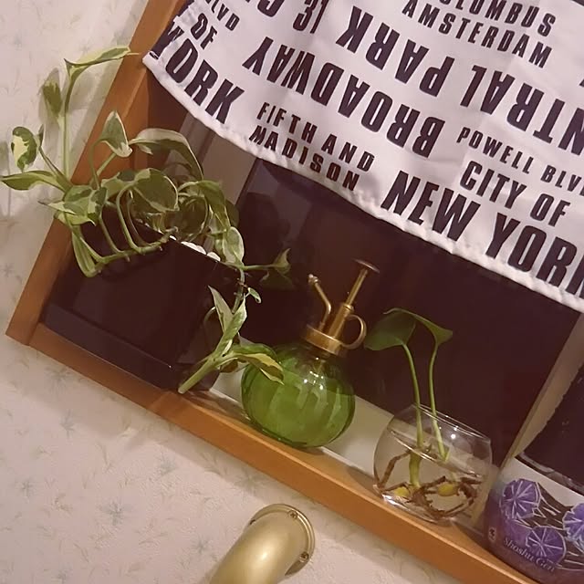 実例写真
