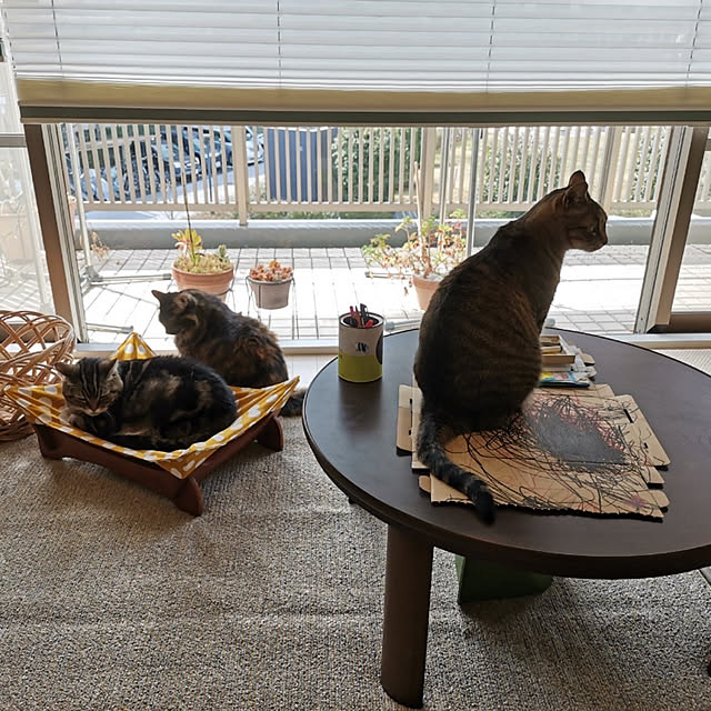 mikomaruさんの実例写真