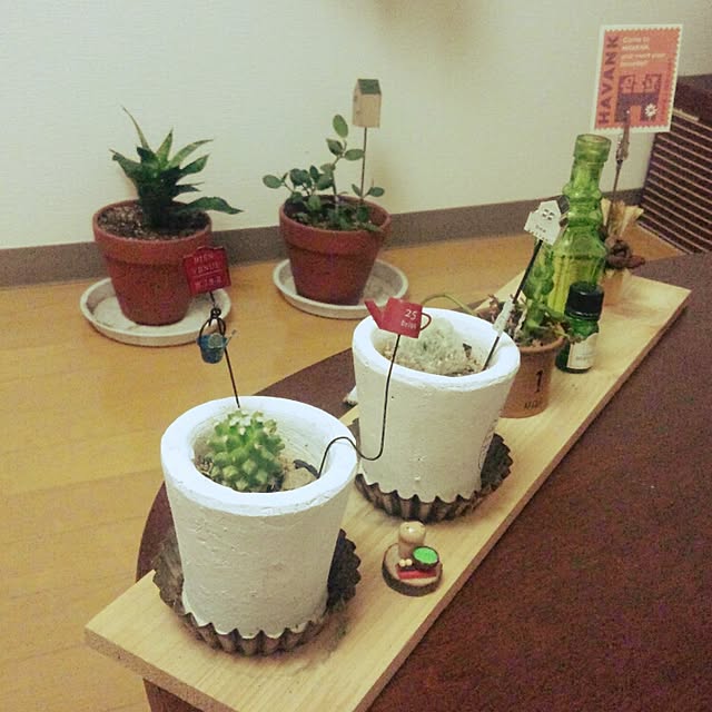 momodarumaさんの実例写真