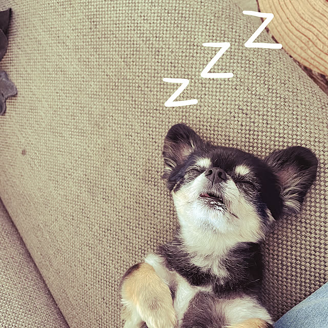 cocoさんの実例写真