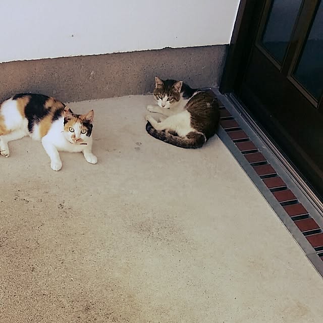lemoned1126さんの実例写真