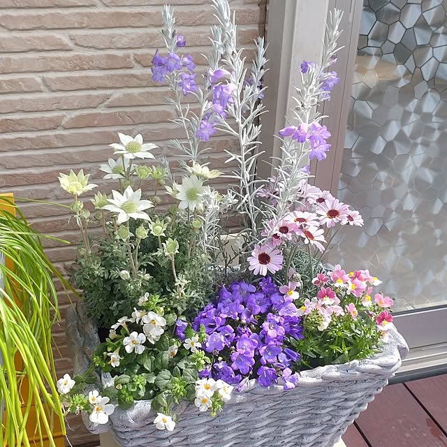 38catさんの部屋