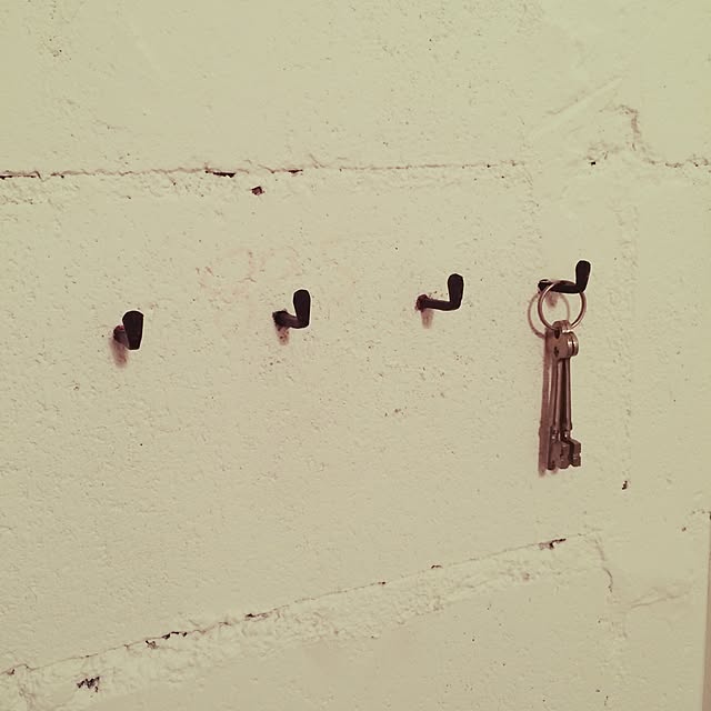 taka55さんの実例写真