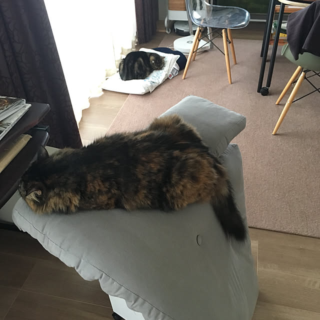 mikomaruさんの実例写真