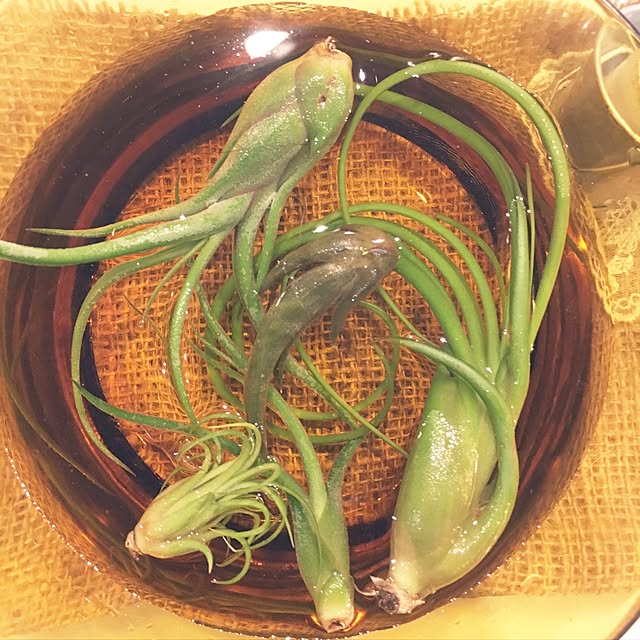 cocco0505さんの実例写真