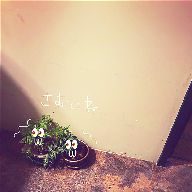 s.p.sunaoさんの実例写真