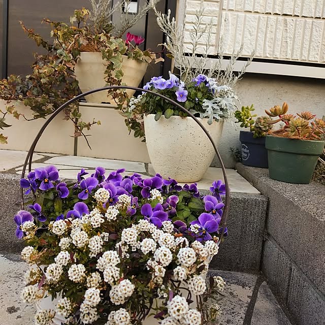 coconathuさんの実例写真