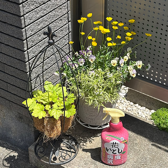 maayaさんの部屋