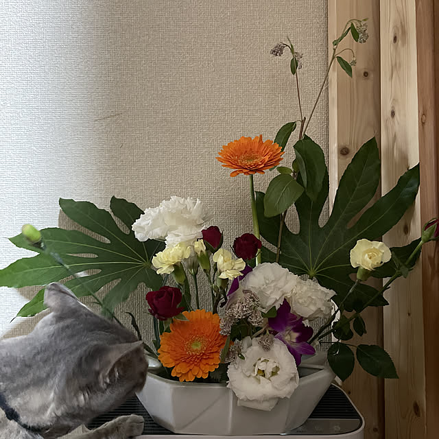 naworinさんの実例写真