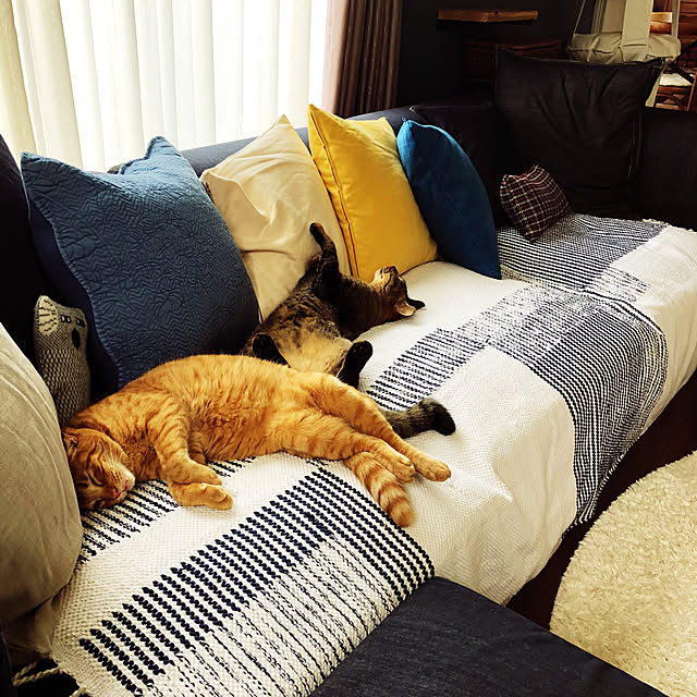 akkorosukeさんの実例写真