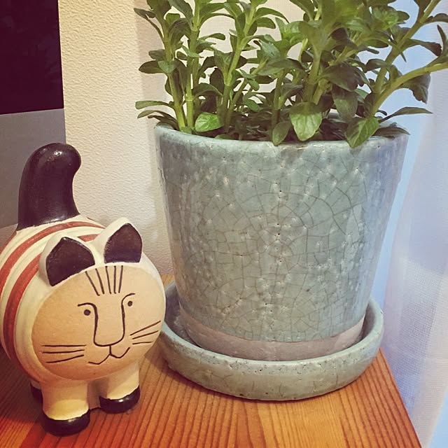 Kakiさんの実例写真