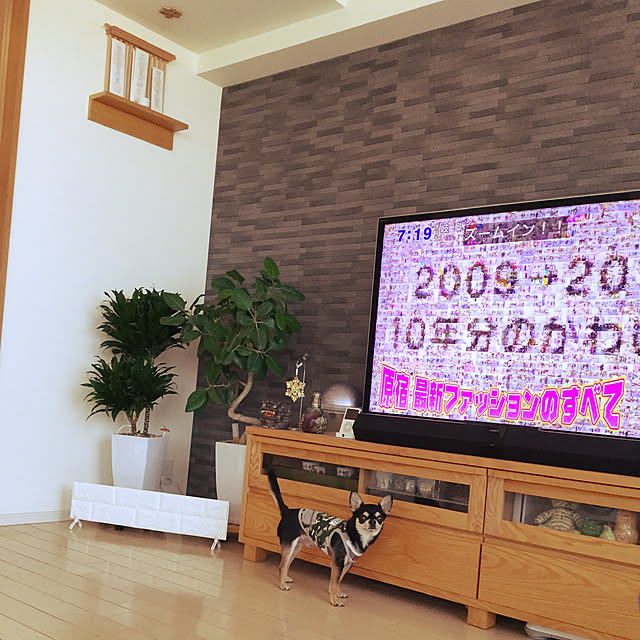 skymomongaさんの実例写真