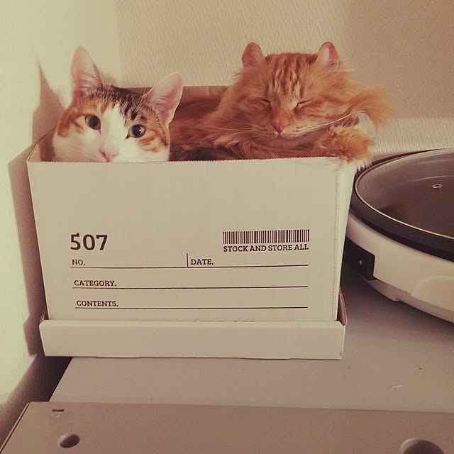 l..tomesanさんの実例写真