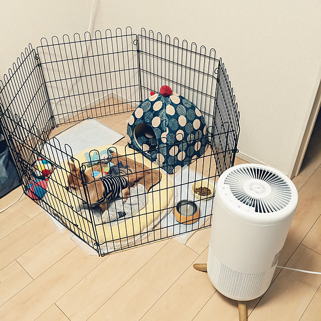 hikoさんの実例写真