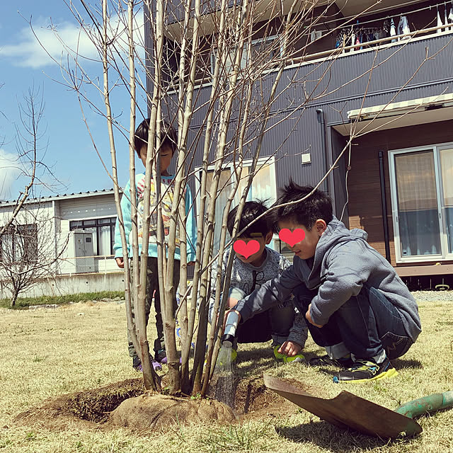 洗濯物が‥‥/写ってる/子ども達もお手伝い/旦那の趣味/やまぼうしの木...などのインテリア実例 - 2020-04-06 10:57:04