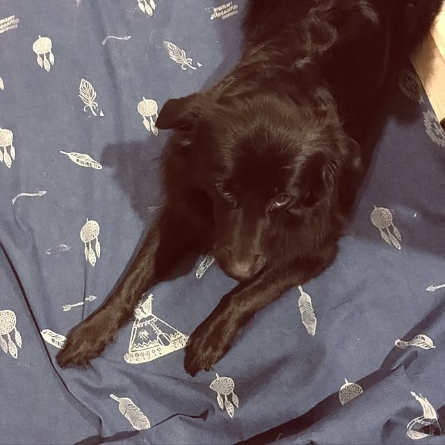 Yaeさんの実例写真