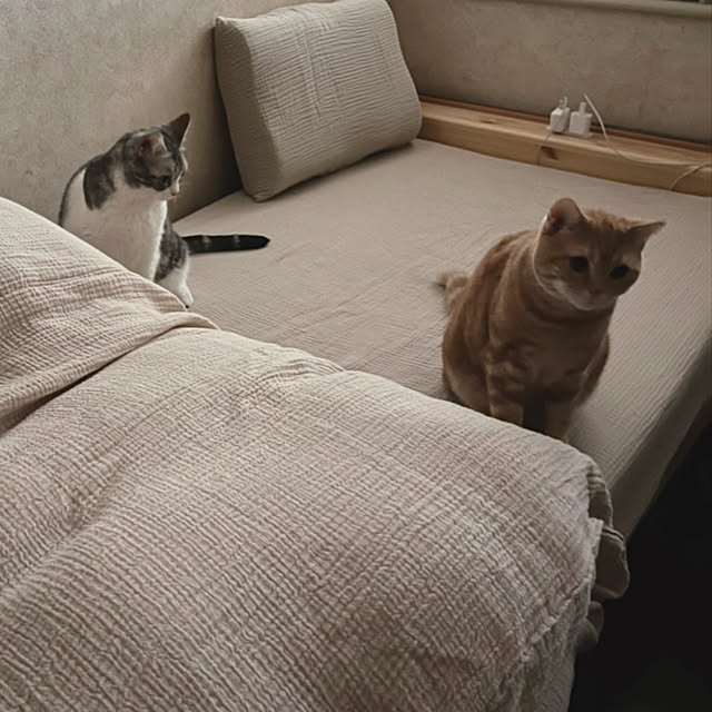 Atelier.mさんの実例写真