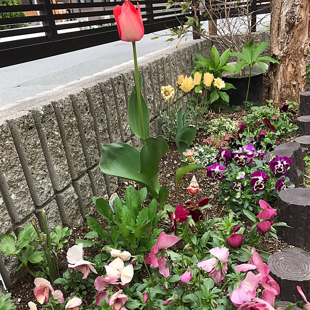 yumieさんの実例写真