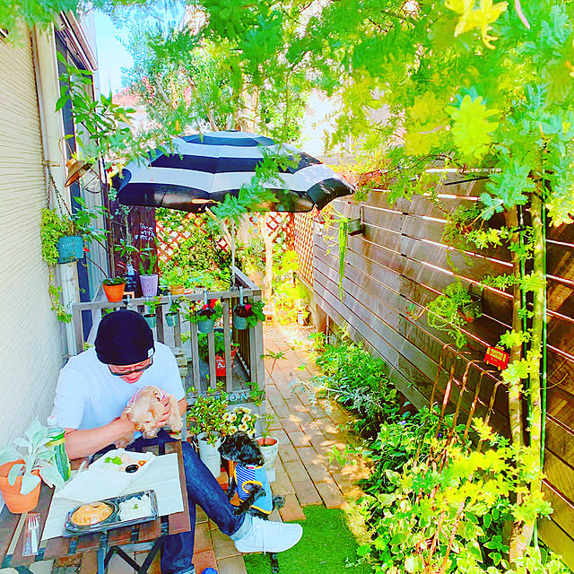 risaさんの実例写真