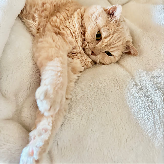 naokoさんの部屋