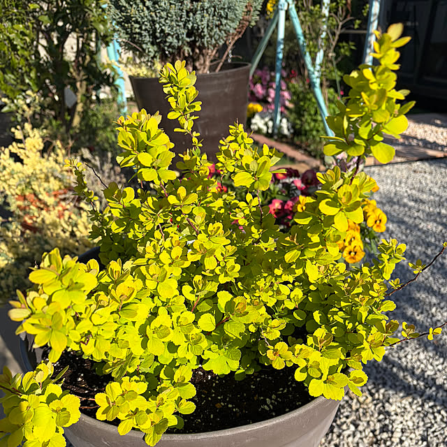 ronronさんの部屋