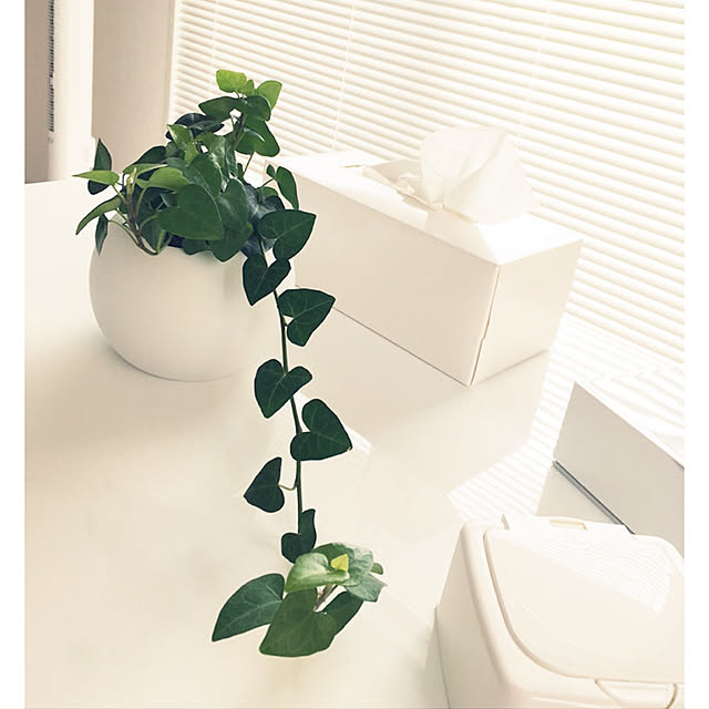 mintさんの実例写真