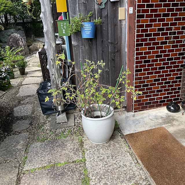 shin0719さんの部屋
