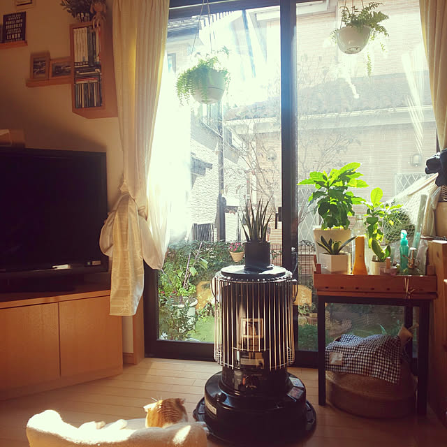 0617さんの実例写真