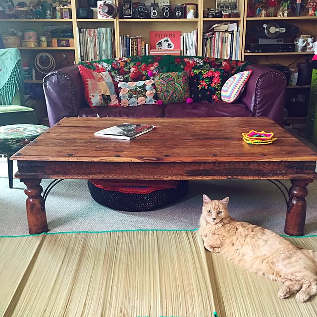nekohigeさんの実例写真