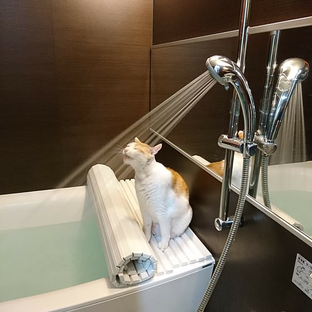 porinさんの実例写真