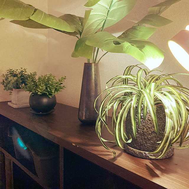 フェイクグリーン/観葉植物/ダイソー/照明/雑貨...などのインテリア実例 - 2021-06-28 01:05:35