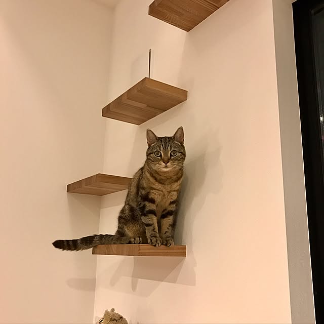 kaedeさんの実例写真