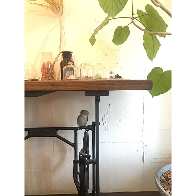 kurobarさんの実例写真