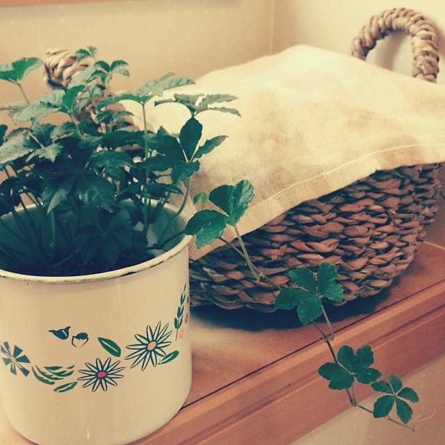 バス/トイレ/植物のインテリア実例 - 2014-05-10 14:06:51