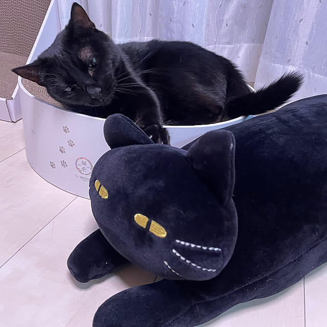 leafさんの実例写真