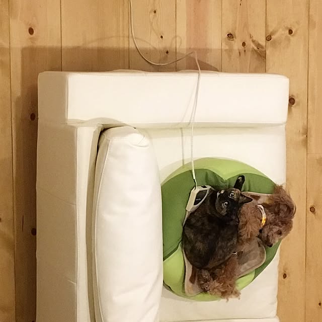 blanchomeさんの実例写真