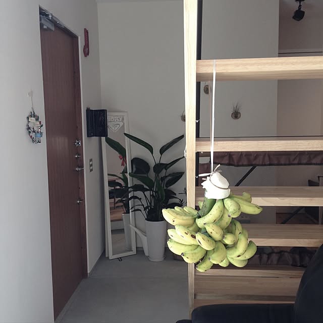 Sakuraさんの実例写真