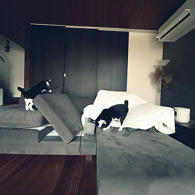 porinさんの実例写真