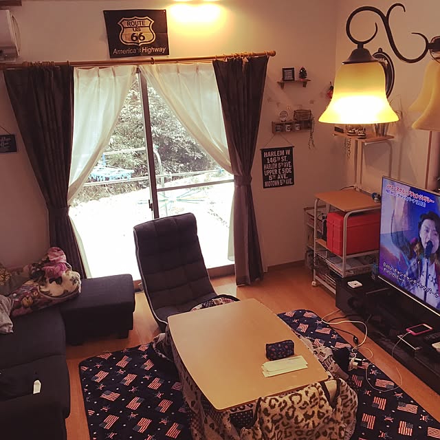 部屋全体/観葉植物/ダイソー/100均のインテリア実例 - 2017-02-10 09:14:26