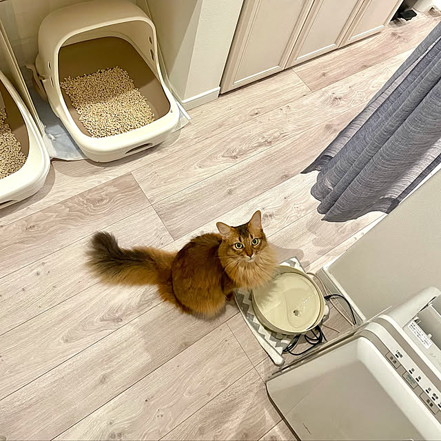 puniyumiさんの実例写真