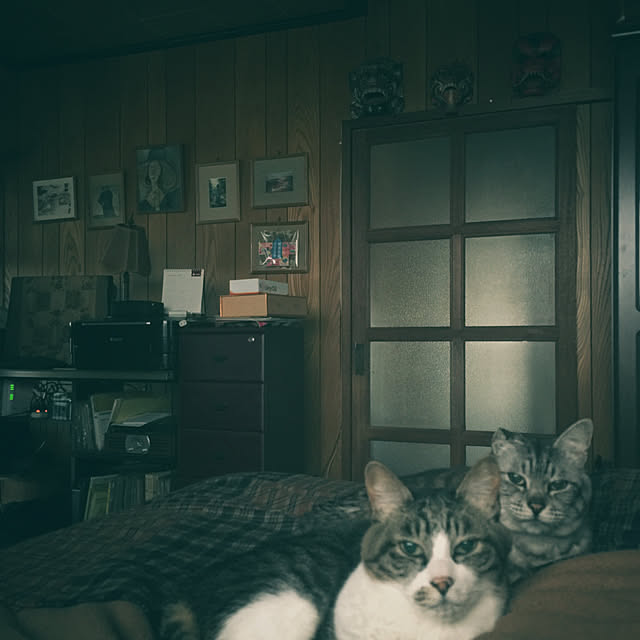 YOYOさんの実例写真