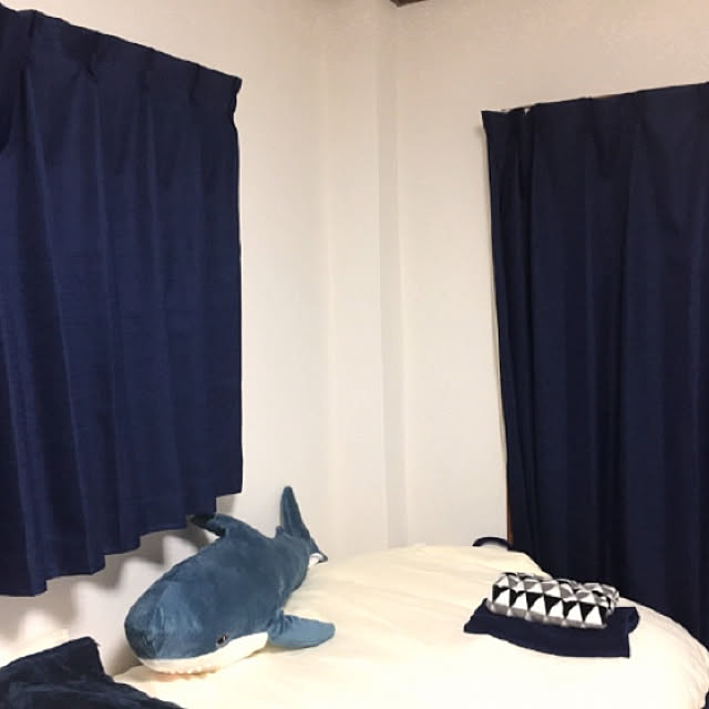 Shiroanさんの実例写真