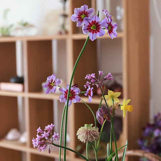 Summerさんの部屋