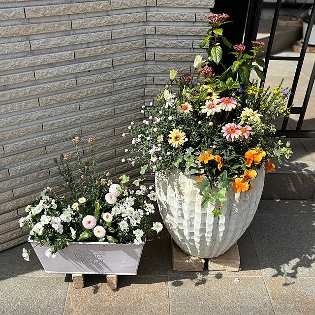 maimai0110さんの部屋