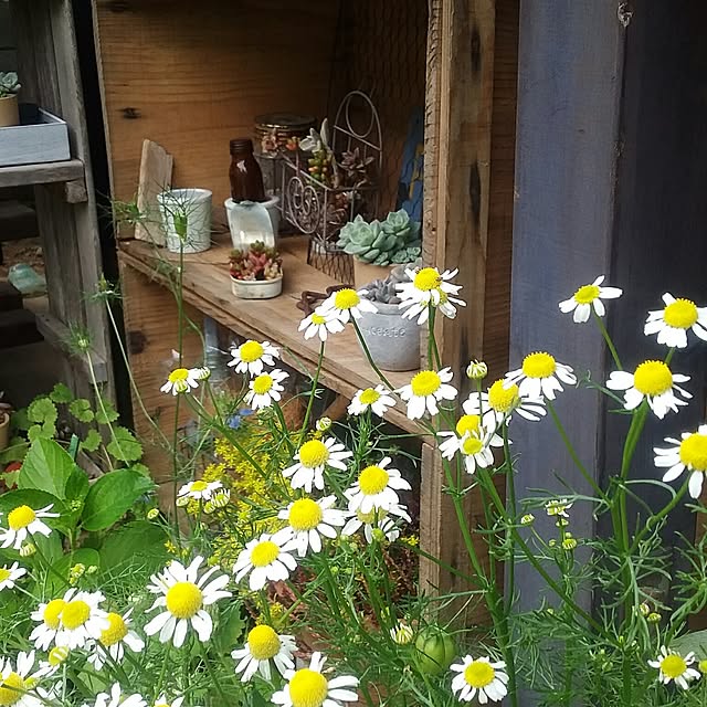 yukkoさんの実例写真