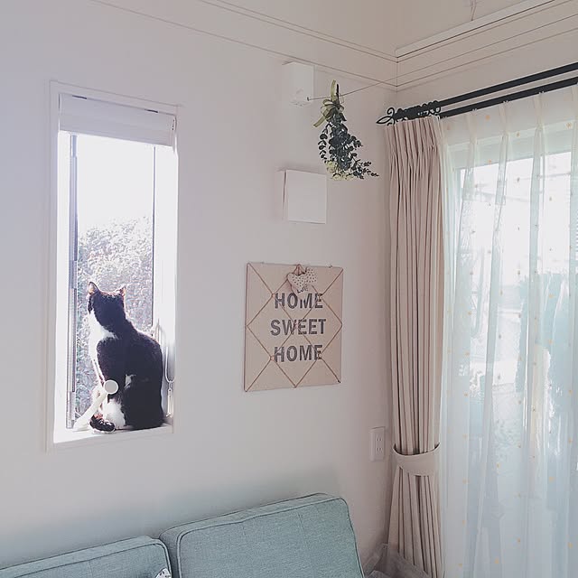 lovecatさんの実例写真