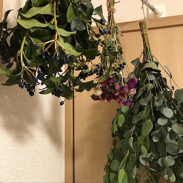 mischievous.m.n.mさんの実例写真